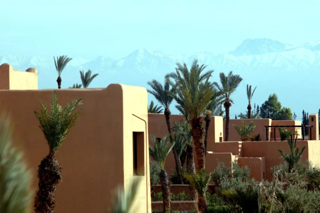Oasis