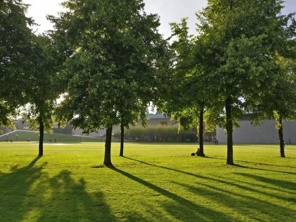 Oosterpark Area