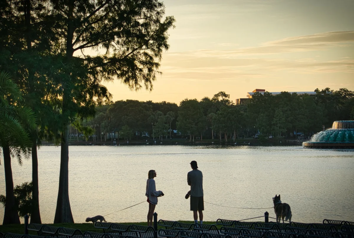 View of Orlando's skyline, perfect setting for a romantic honeymoon
