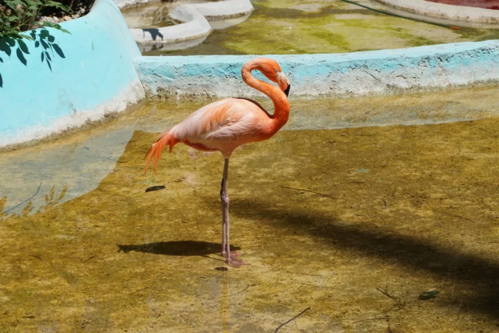 Parque Las Palapas