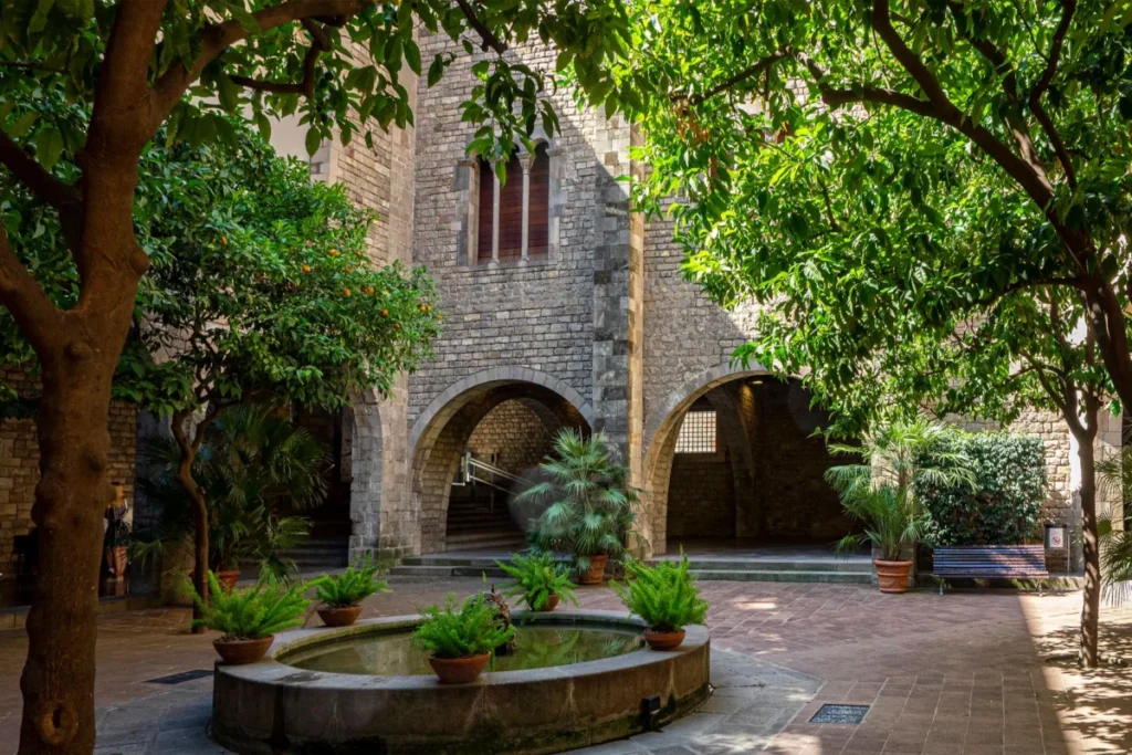 Pedralbes
