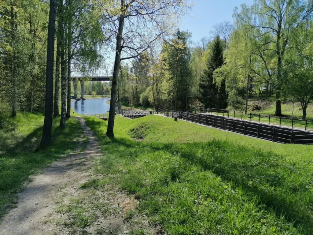 Petrelius