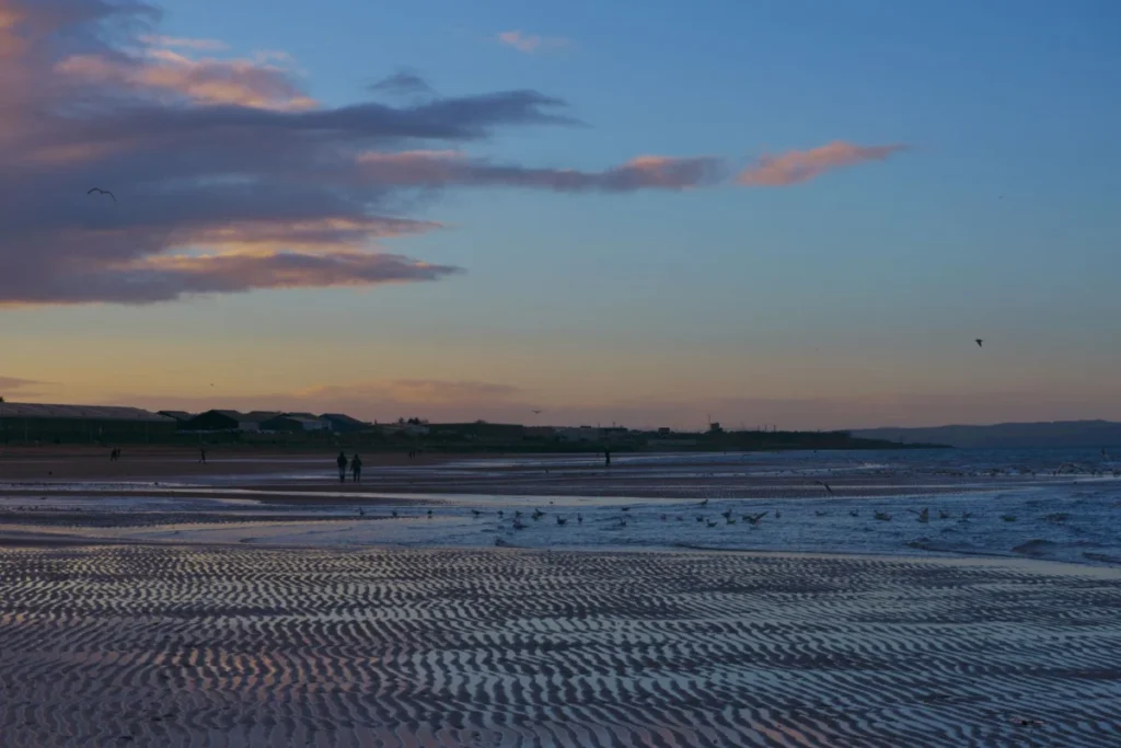 Portobello