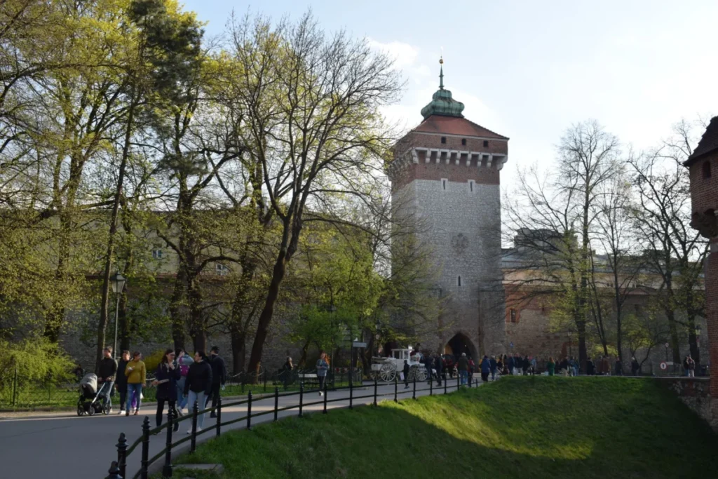 Pradnik Czerwony