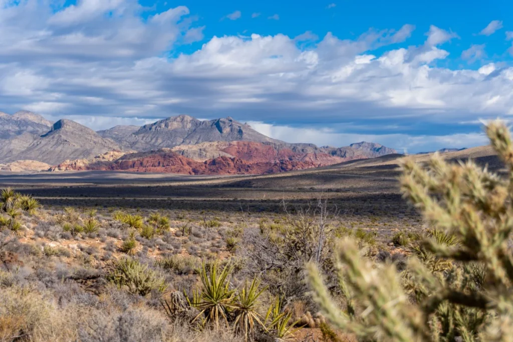 South Summerlin