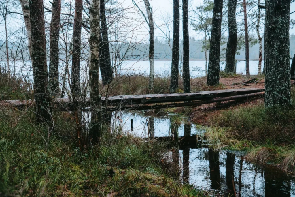 Ruissalo
