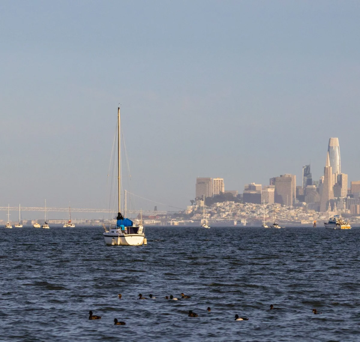Iconic San Francisco skyline with the Golden Gate Bridge