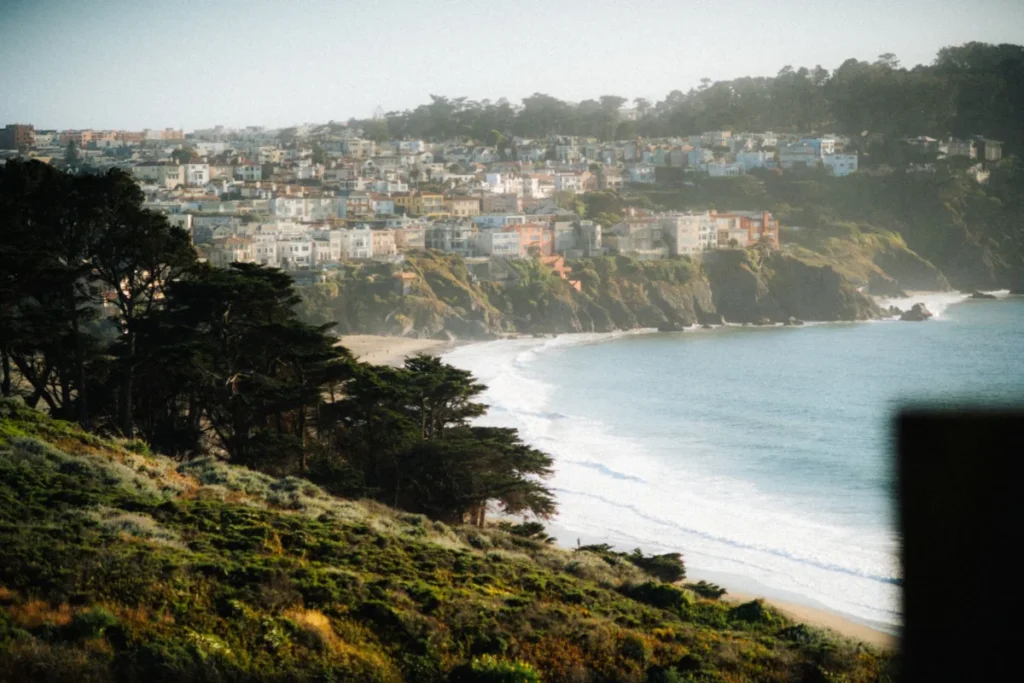 Sea Cliff