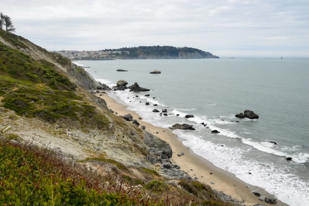 Sea Cliff