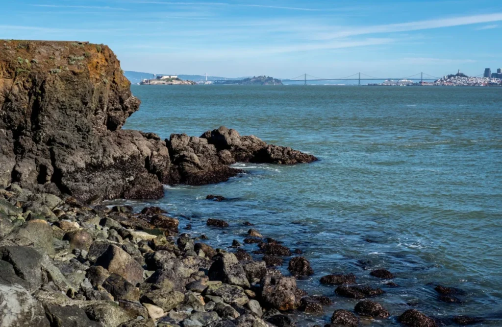 Sea Cliff