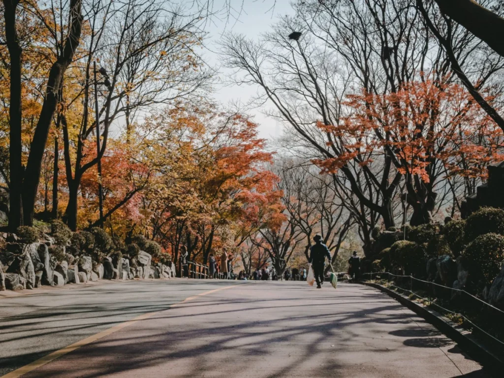 Seocho (서초구)