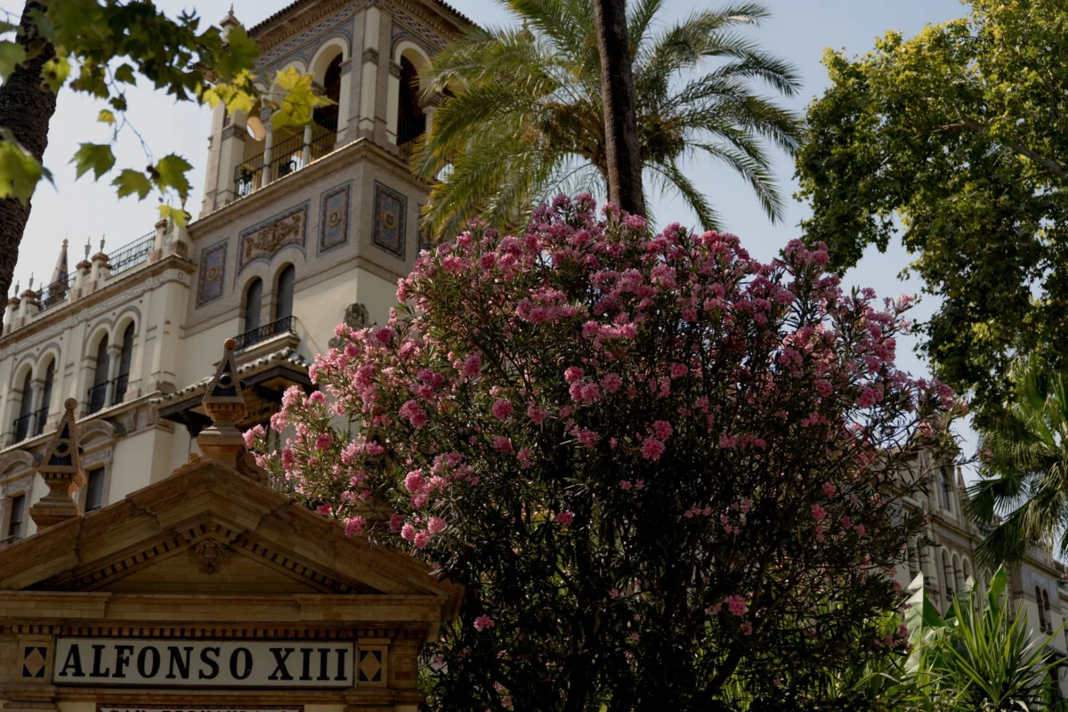 Luxurious romantic hotel suite overlooking Seville's skyline
