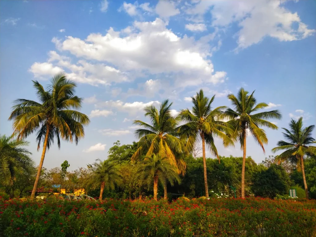 Sundar Nagar