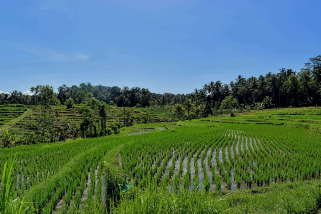 Tabanan