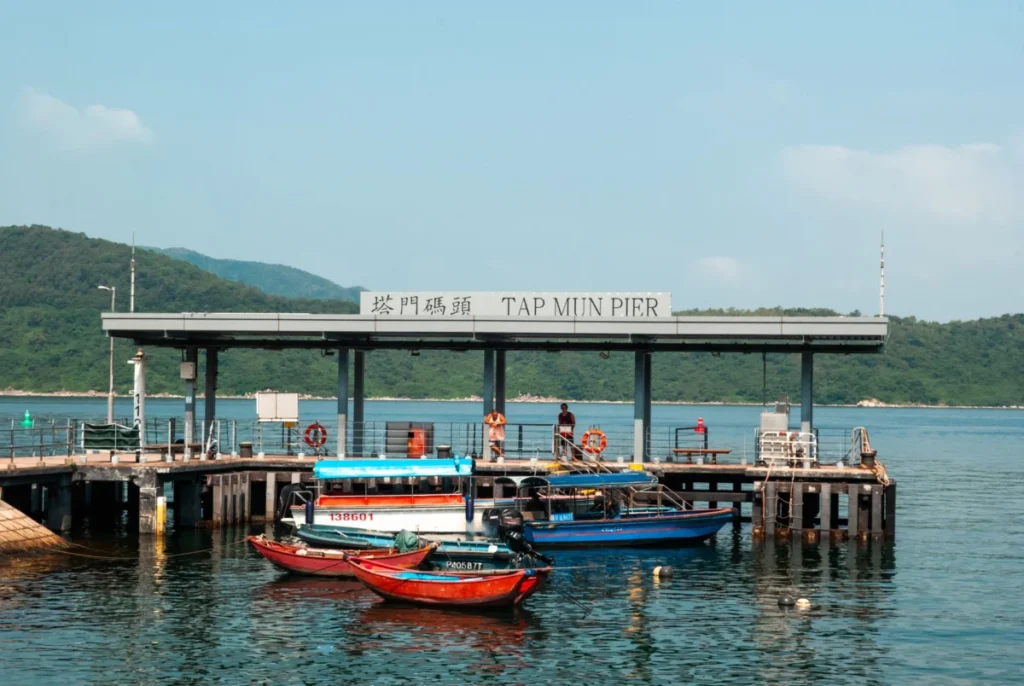 Tai Po (大埔)