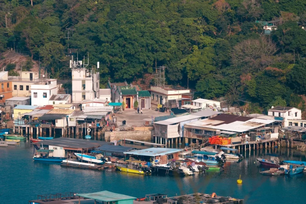 Tai Po (大埔)