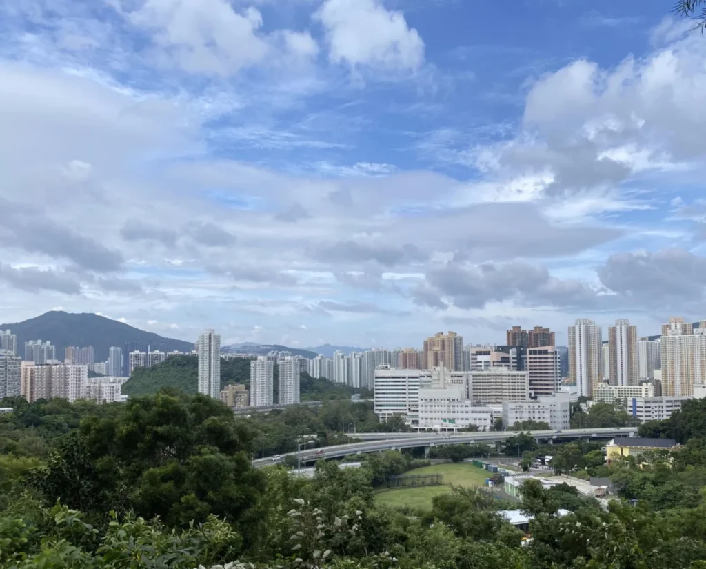 Taipo