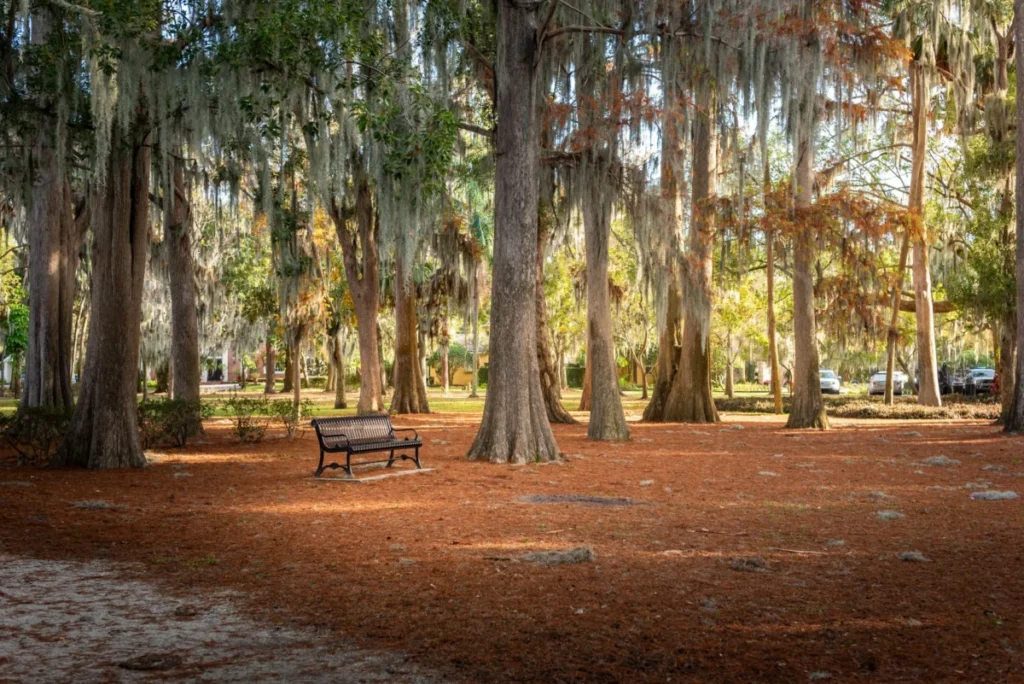 Thornton Park