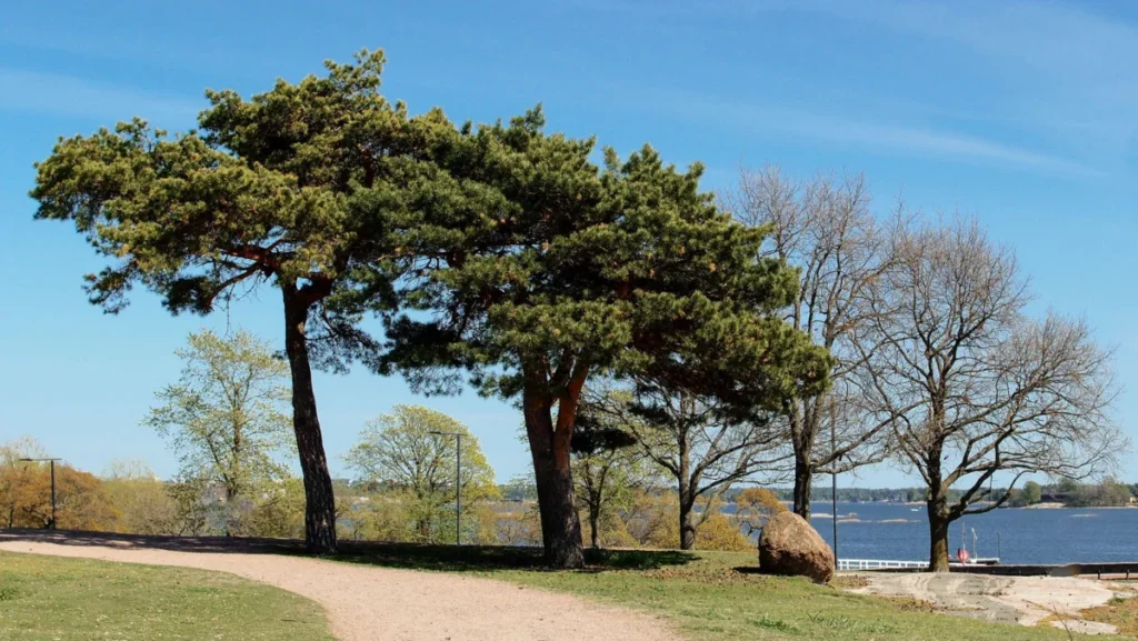 Töölö
