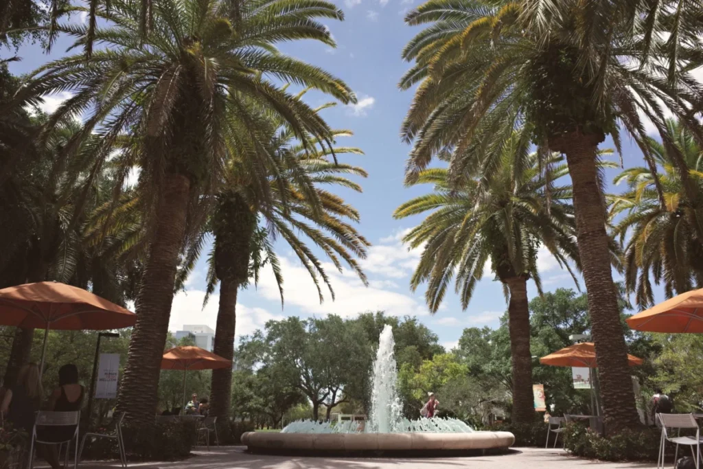 University of Central Florida Area