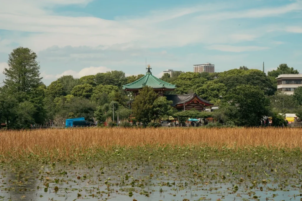 Ueno (上野)