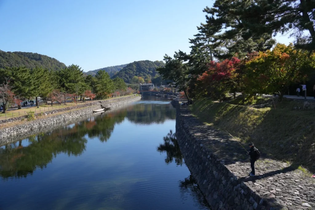 Uji