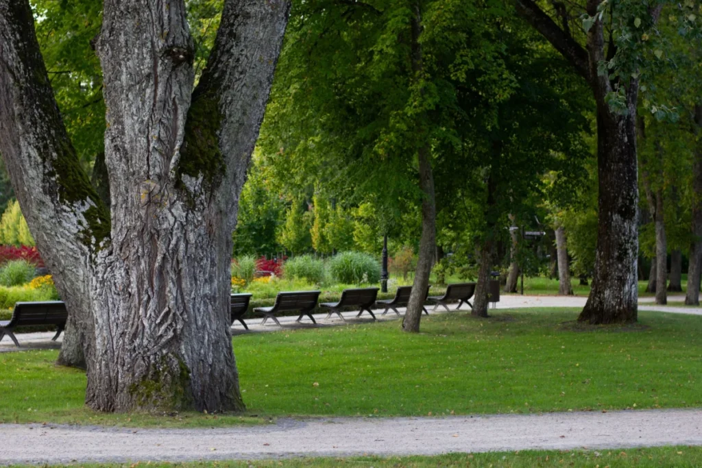 Vartiovuori