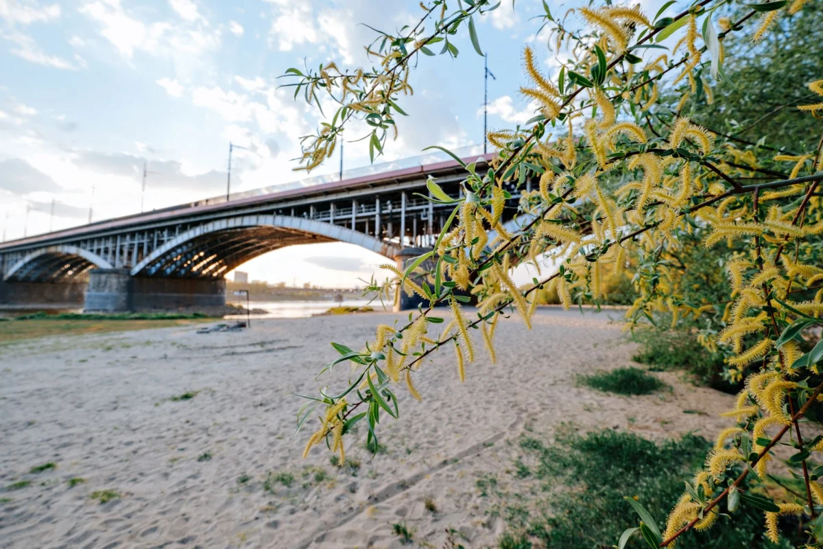 View of Warsaw skyline and river at sunset, highlighting scenic beauty