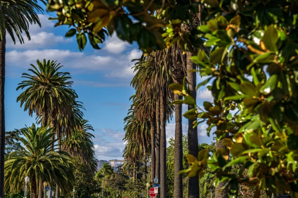 West Hollywood