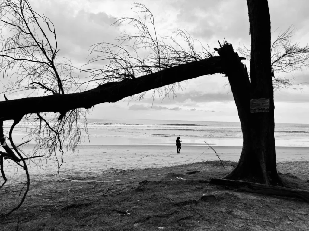 Agonda Beach