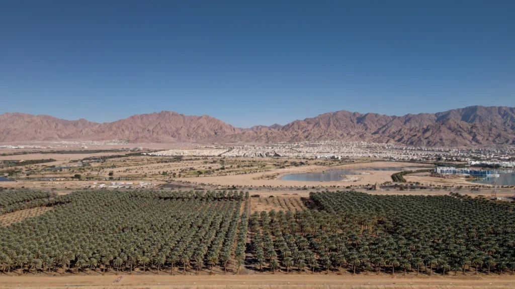 Ayla Oasis