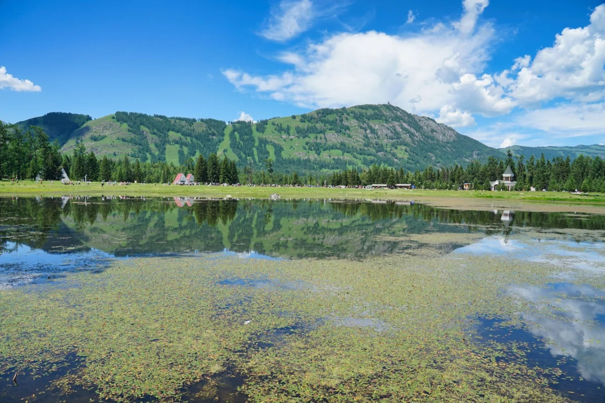Stunning view of Babeldaob's lush landscape and adventurous terrain