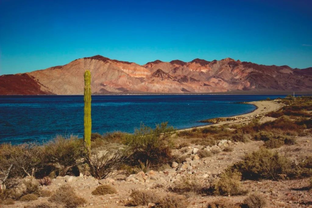 Bahía Montalva