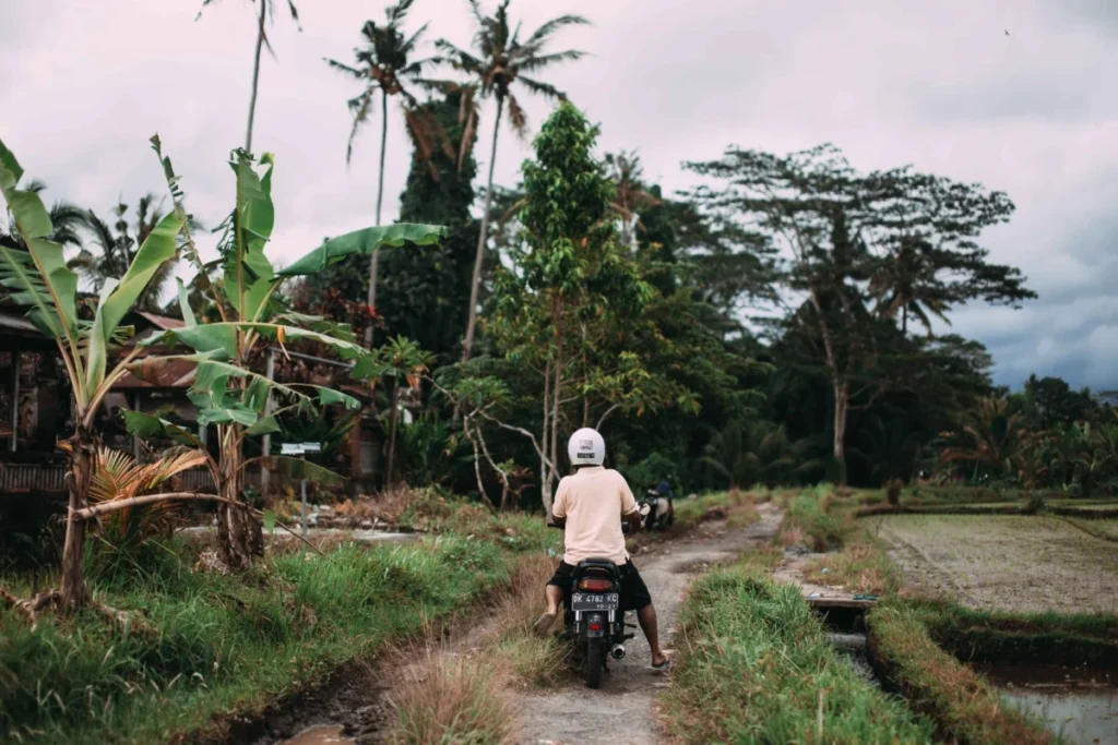 Bali Road (Route Bali)
