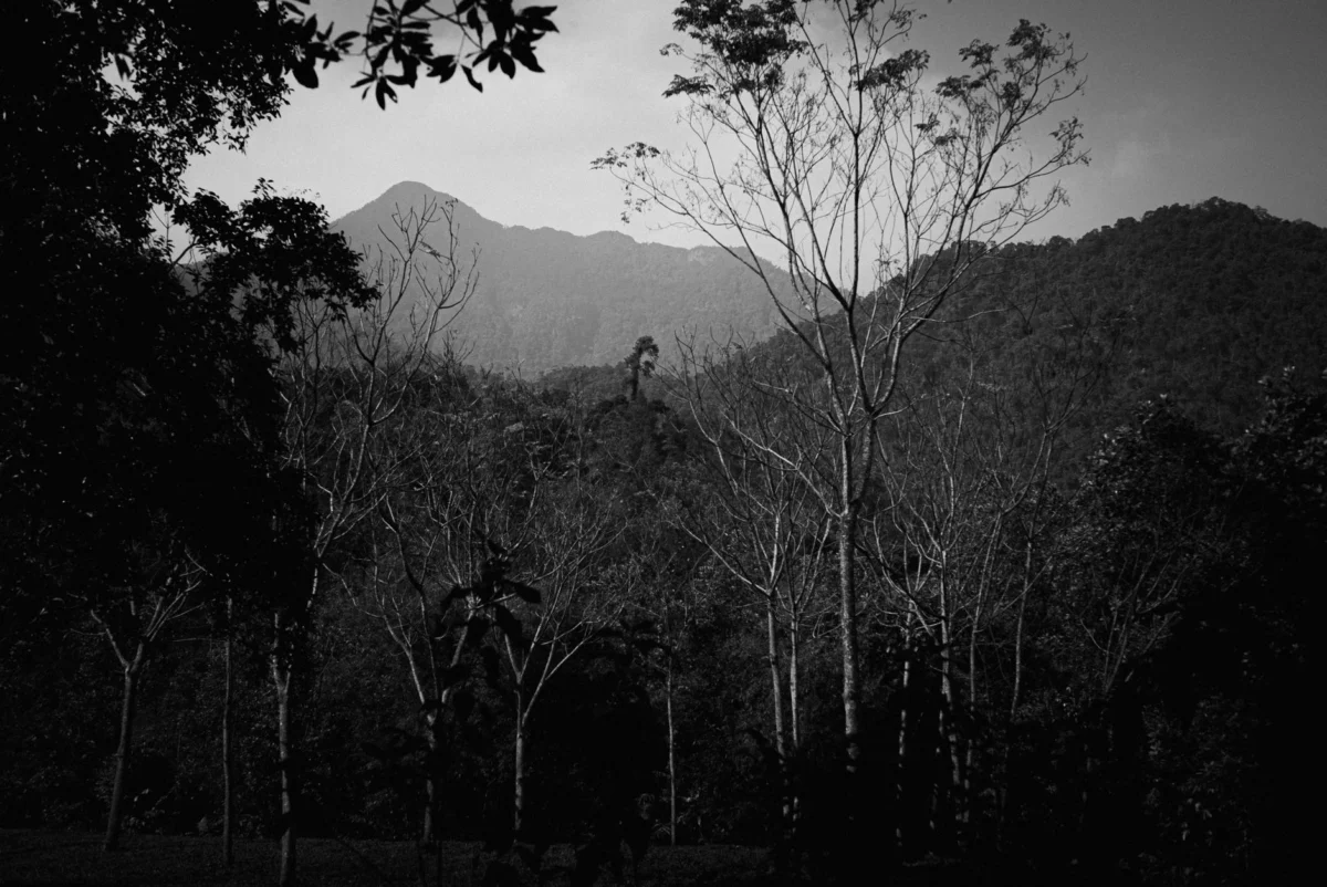 Scenic view of Bamenda's lush landscapes and charming skyline