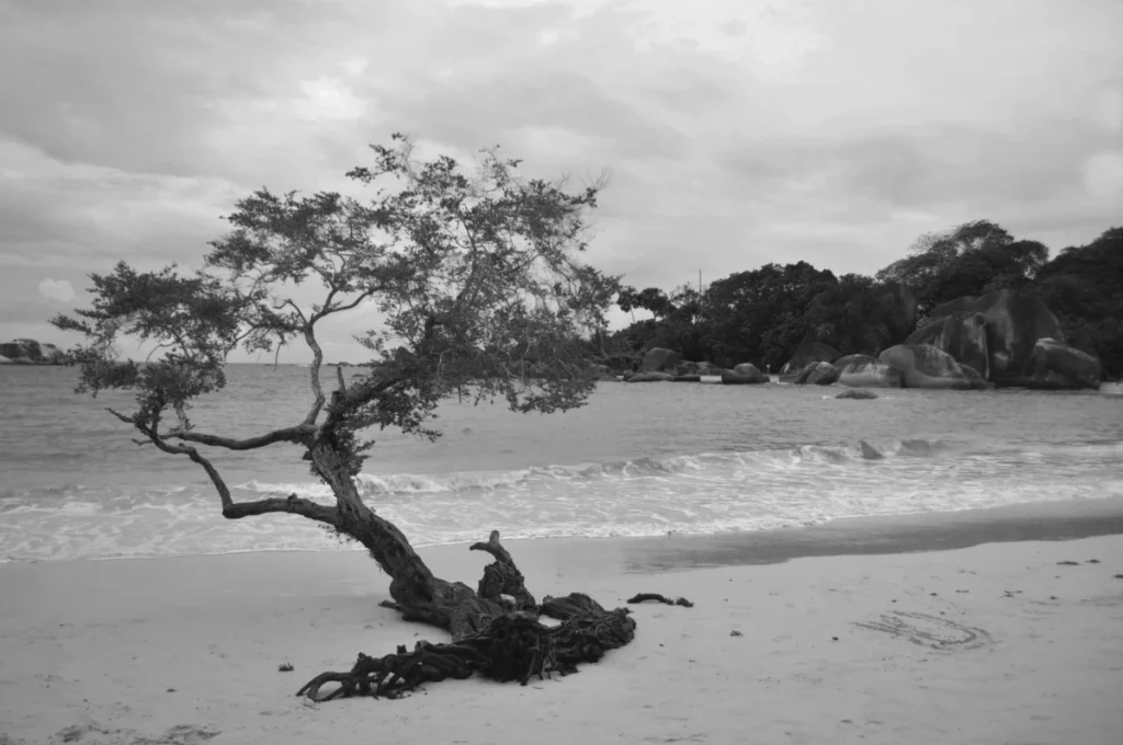 Batu Ferringhi