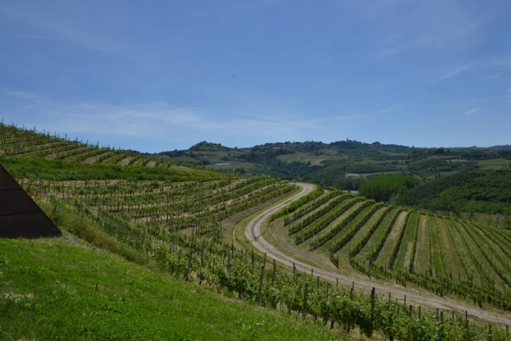 Belvedere