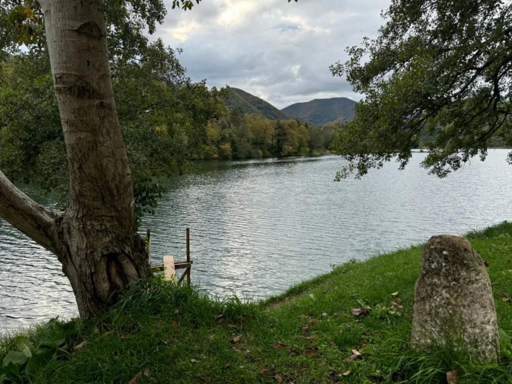 Bijela