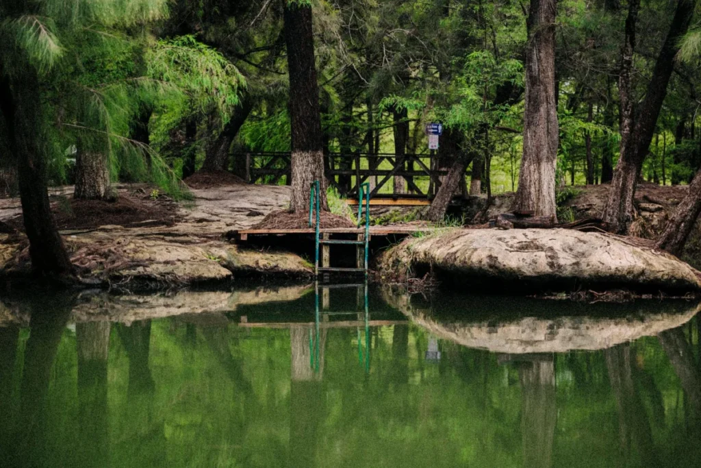 Bijilo Forest Park