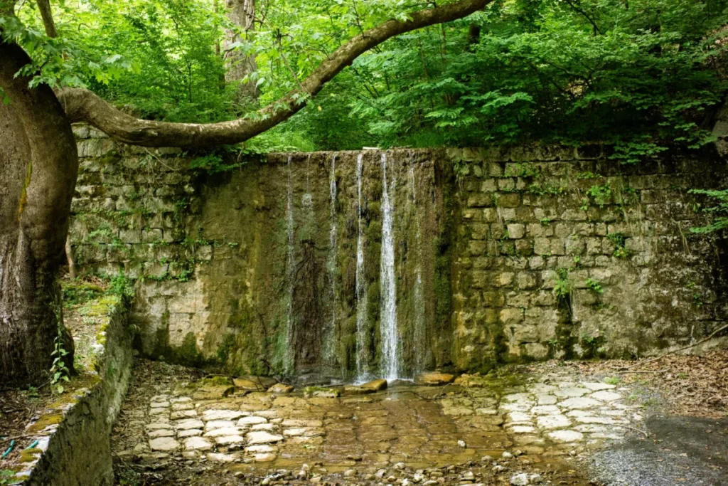 Biljanini Springs