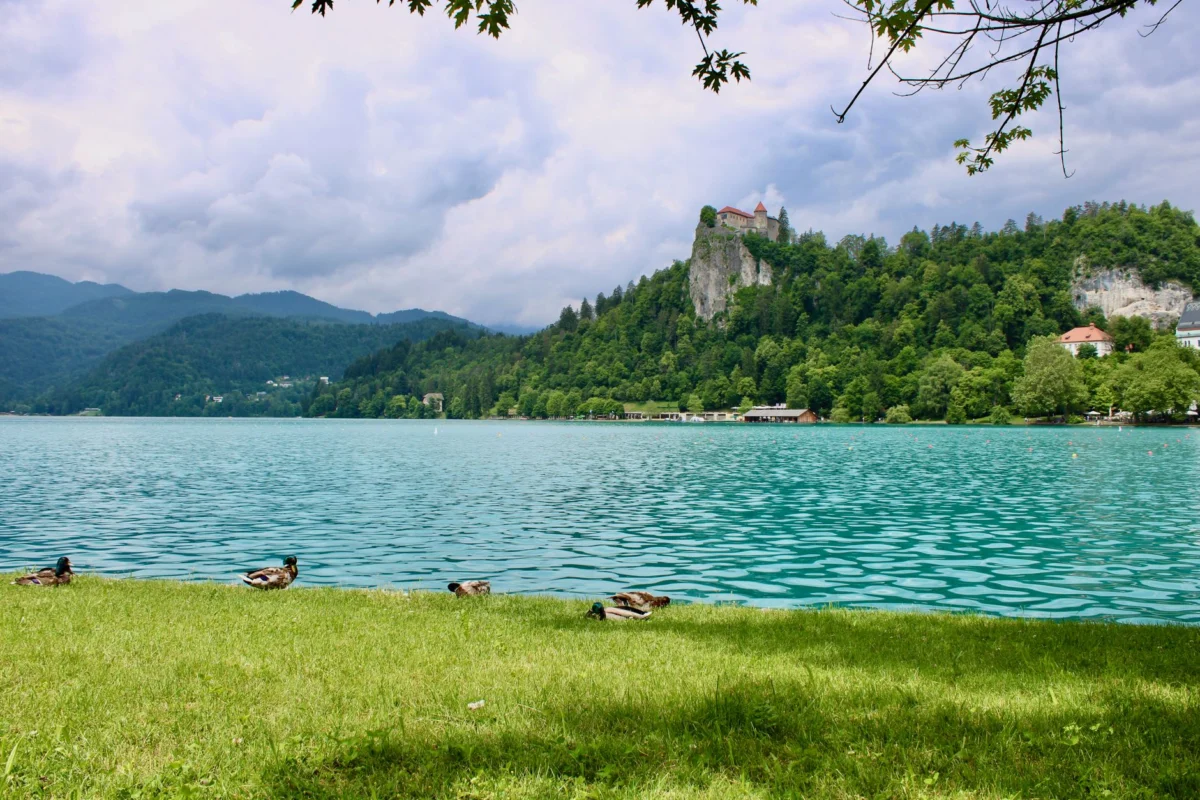 View of Lake Bled with its iconic castle and serene surroundings