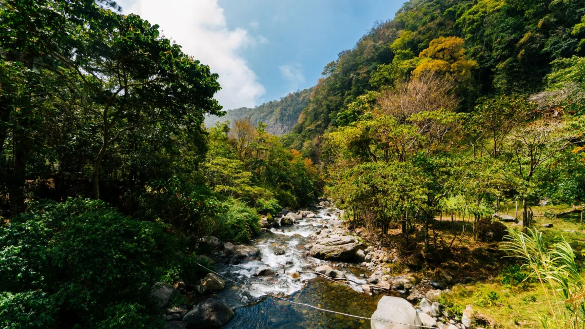 A panoramic view of Boquete's stunning mountains and lush surroundings