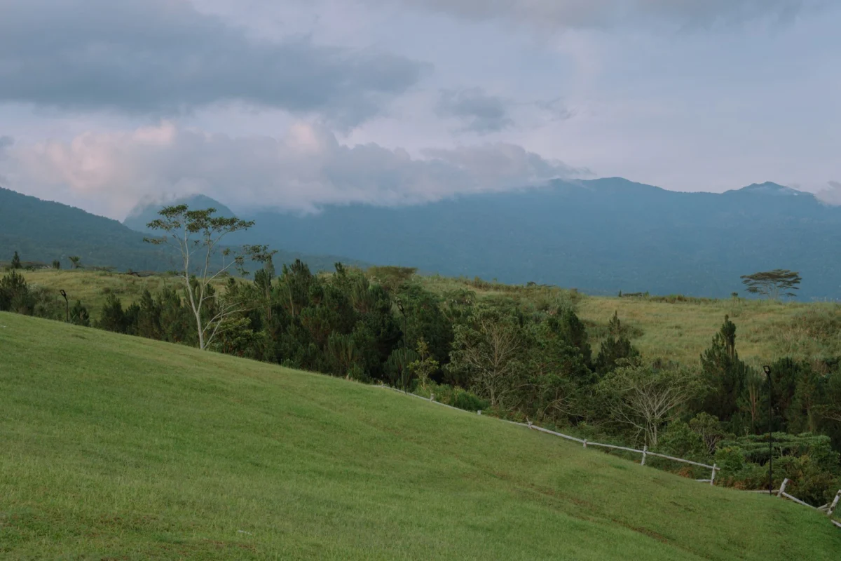 Stunning view of Boquete's lush mountains perfect for first-time visitors