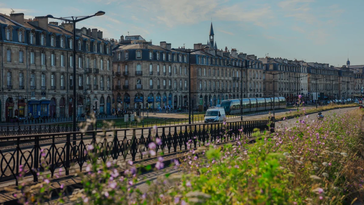 Panoramic view of Bordeaux's romantic skyline at dusk