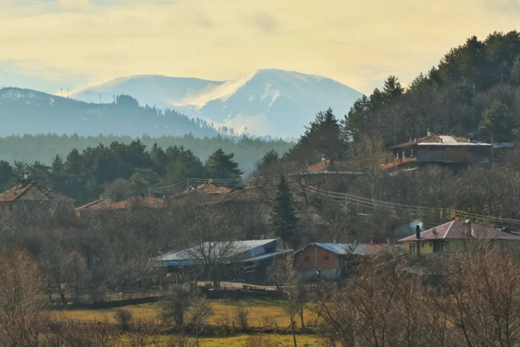Boyana