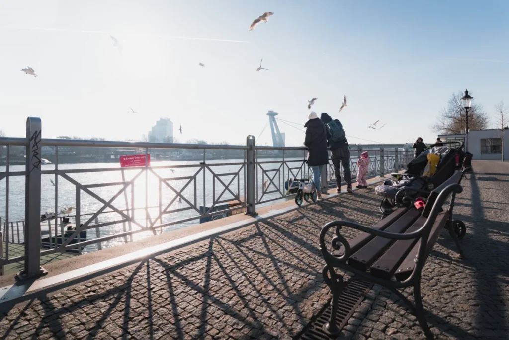 Danube Riverbank (Petržalka)