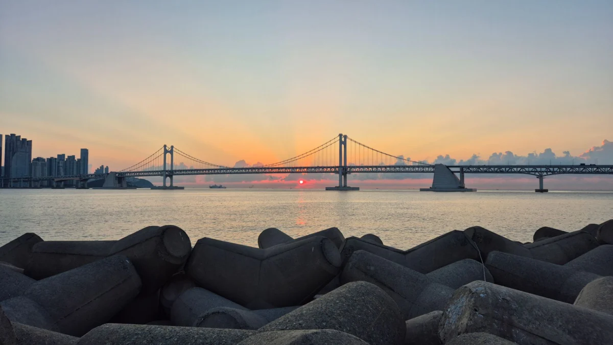 Busan skyline and scenic views for romantic stays