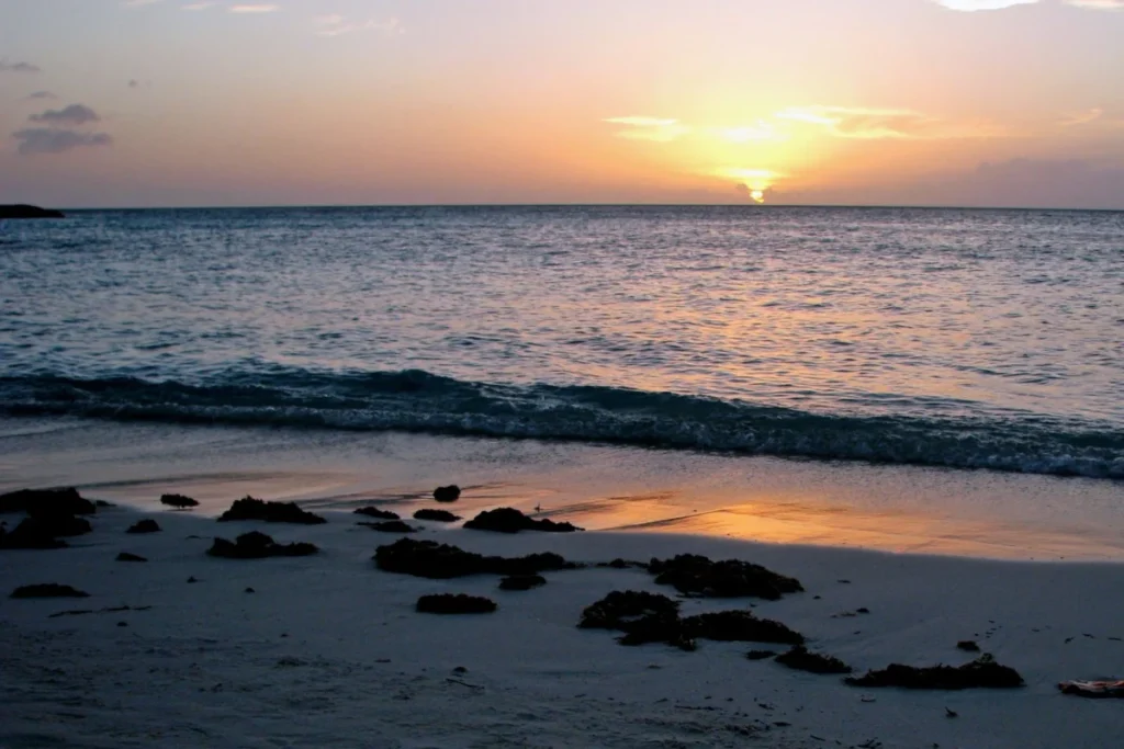 Cabbage Beach