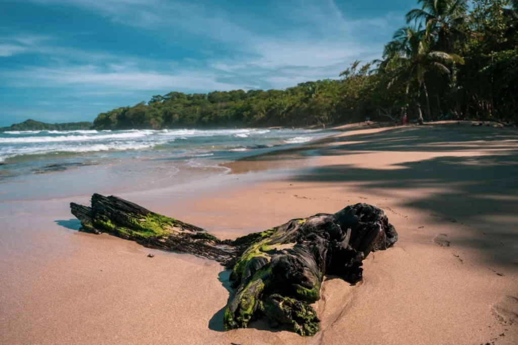 Cahuita