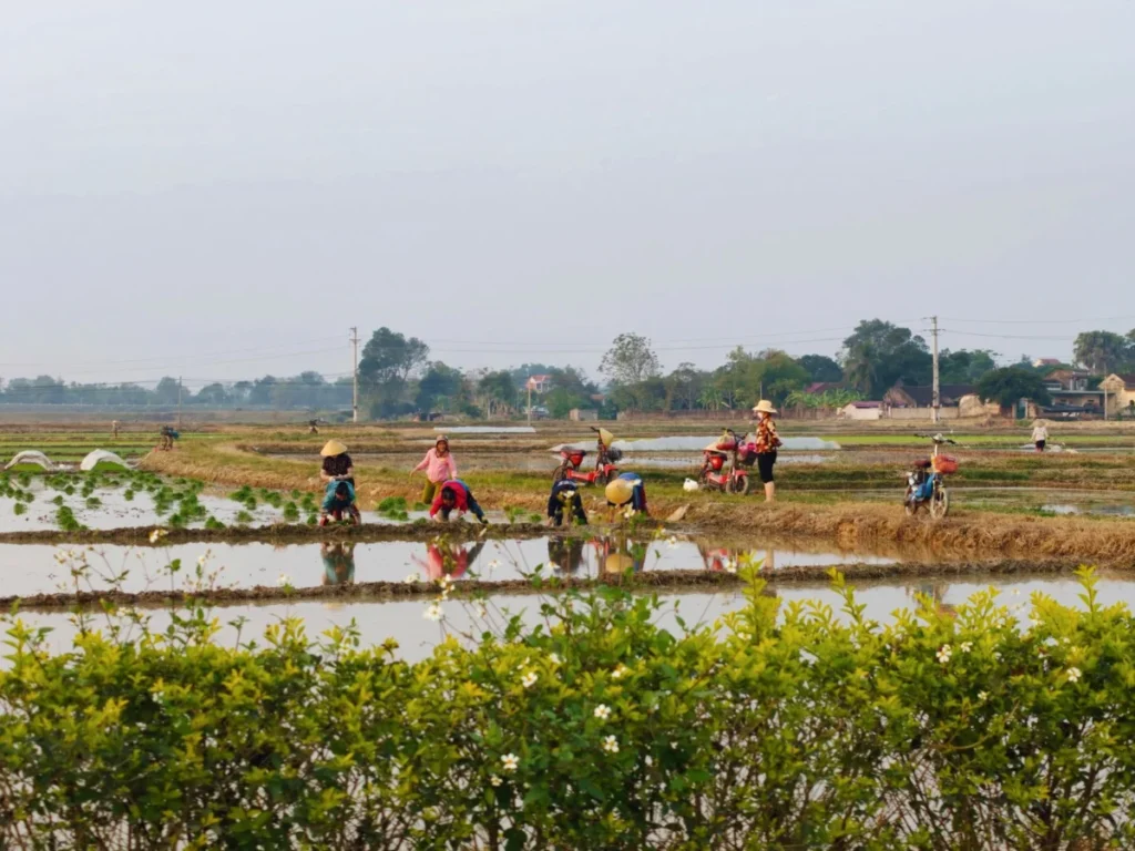 Cam Thanh Village
